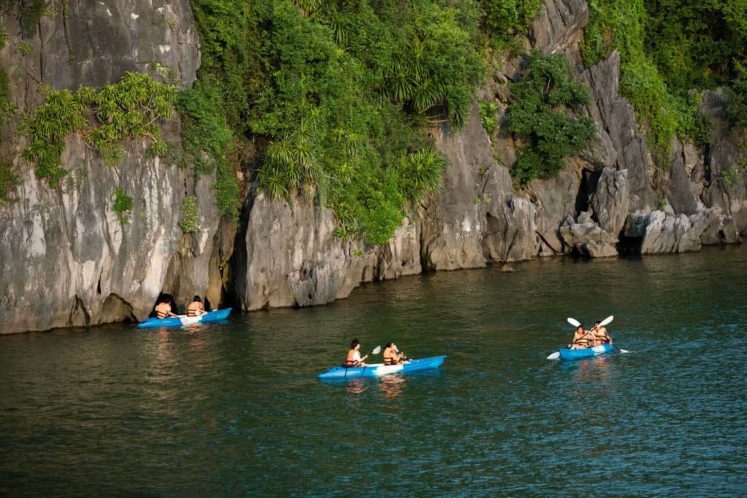 pelican glory pelican cruise ha long