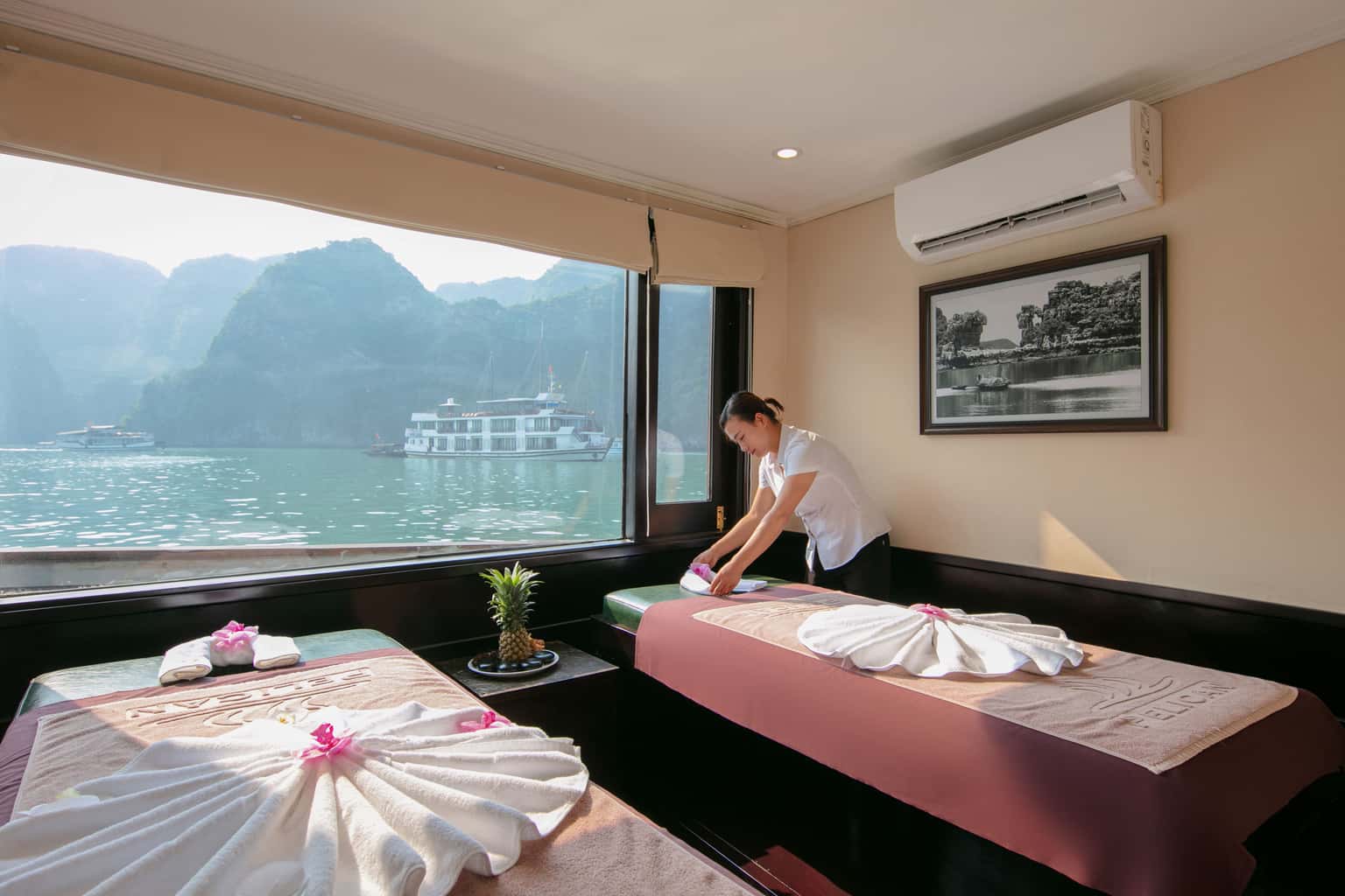 pelican glory pelican cruise ha long