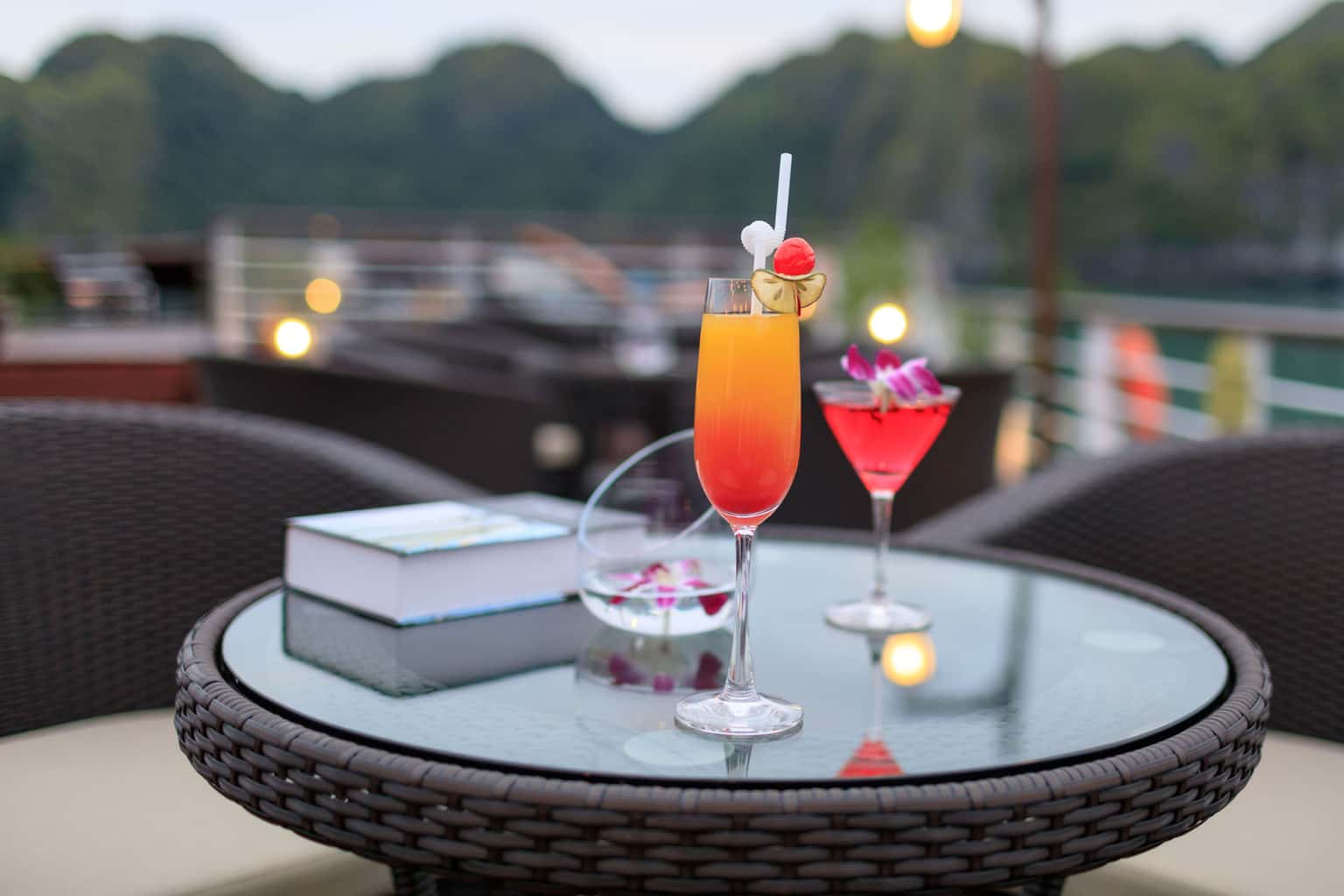 orchid preminum pelican cruise ha long 
