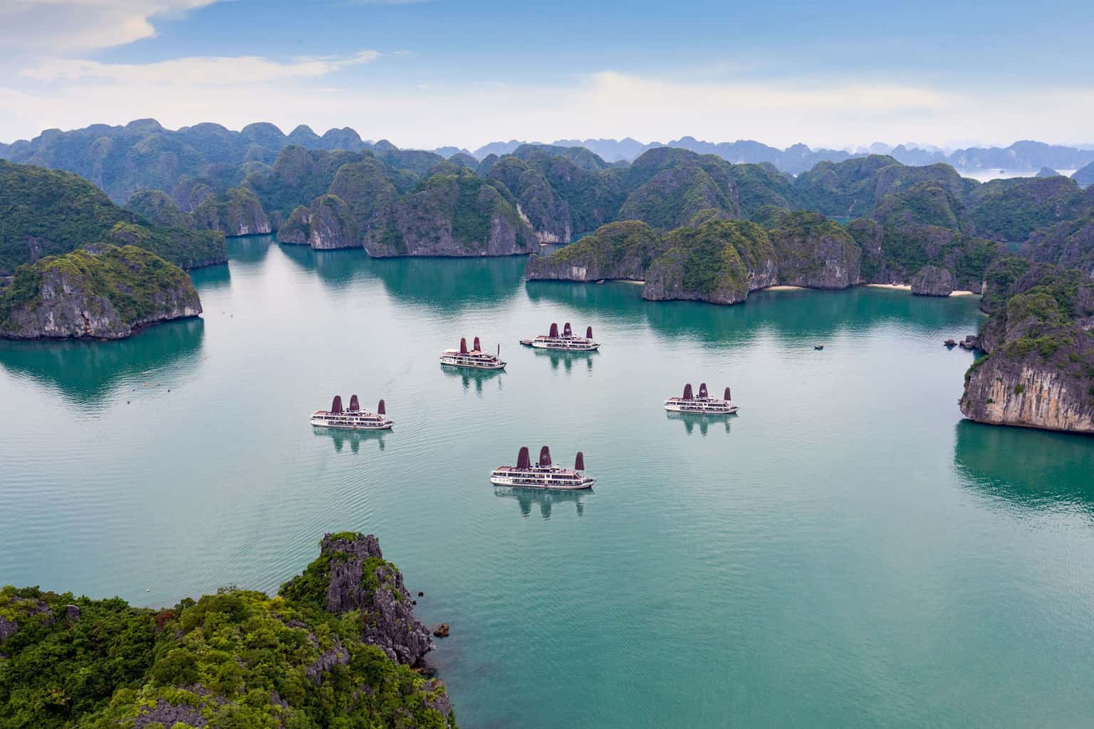 orchid trendy pelican cruise ha long bay 
