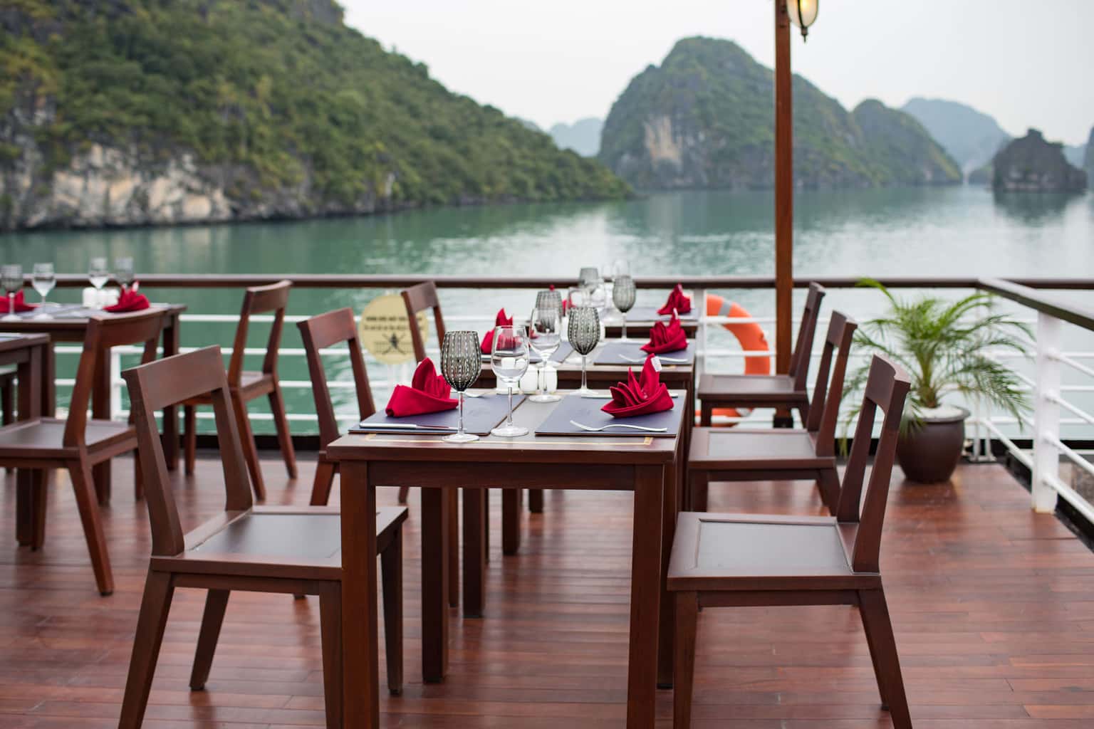 orchid trendy pelican cruise ha long bay 