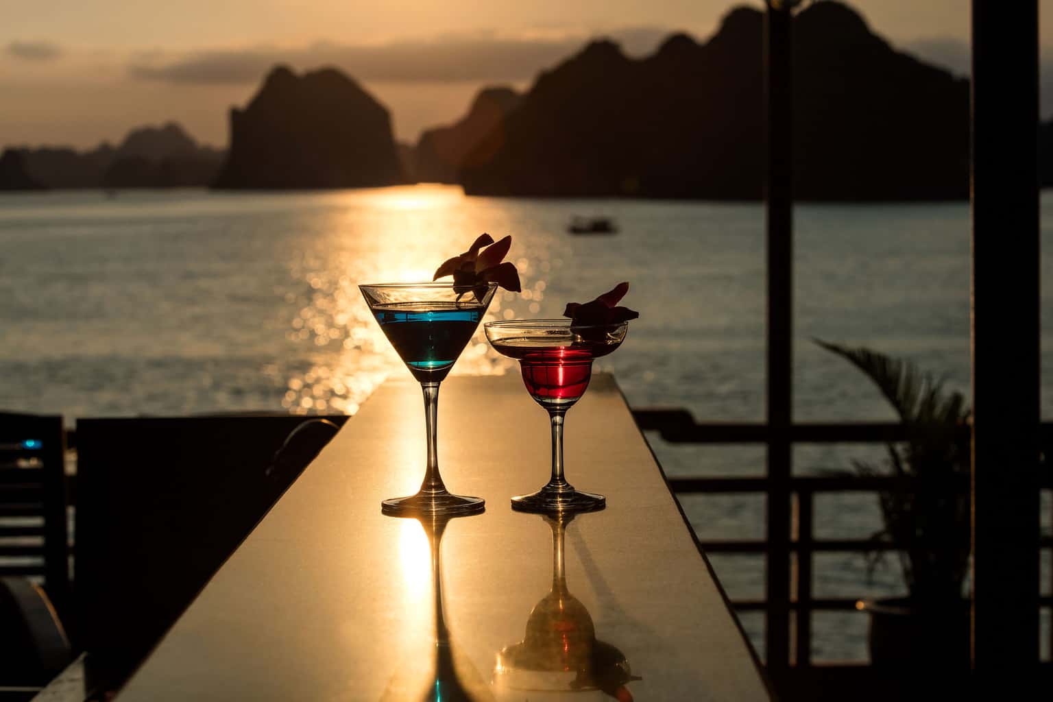 orchid trendy pelican cruise ha long bay 