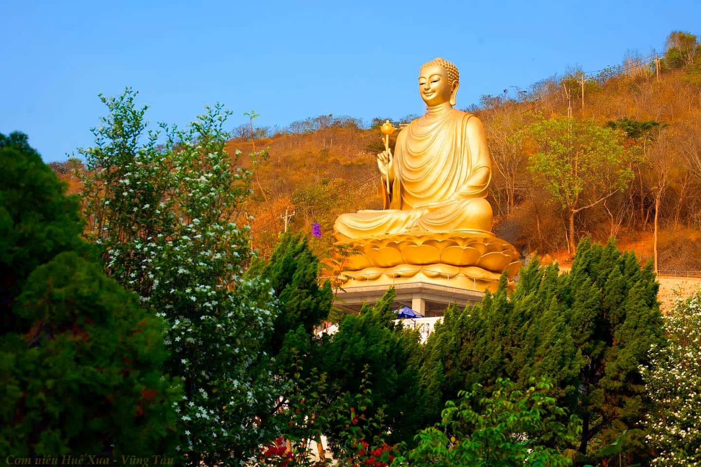thien vien chon khong vung tau