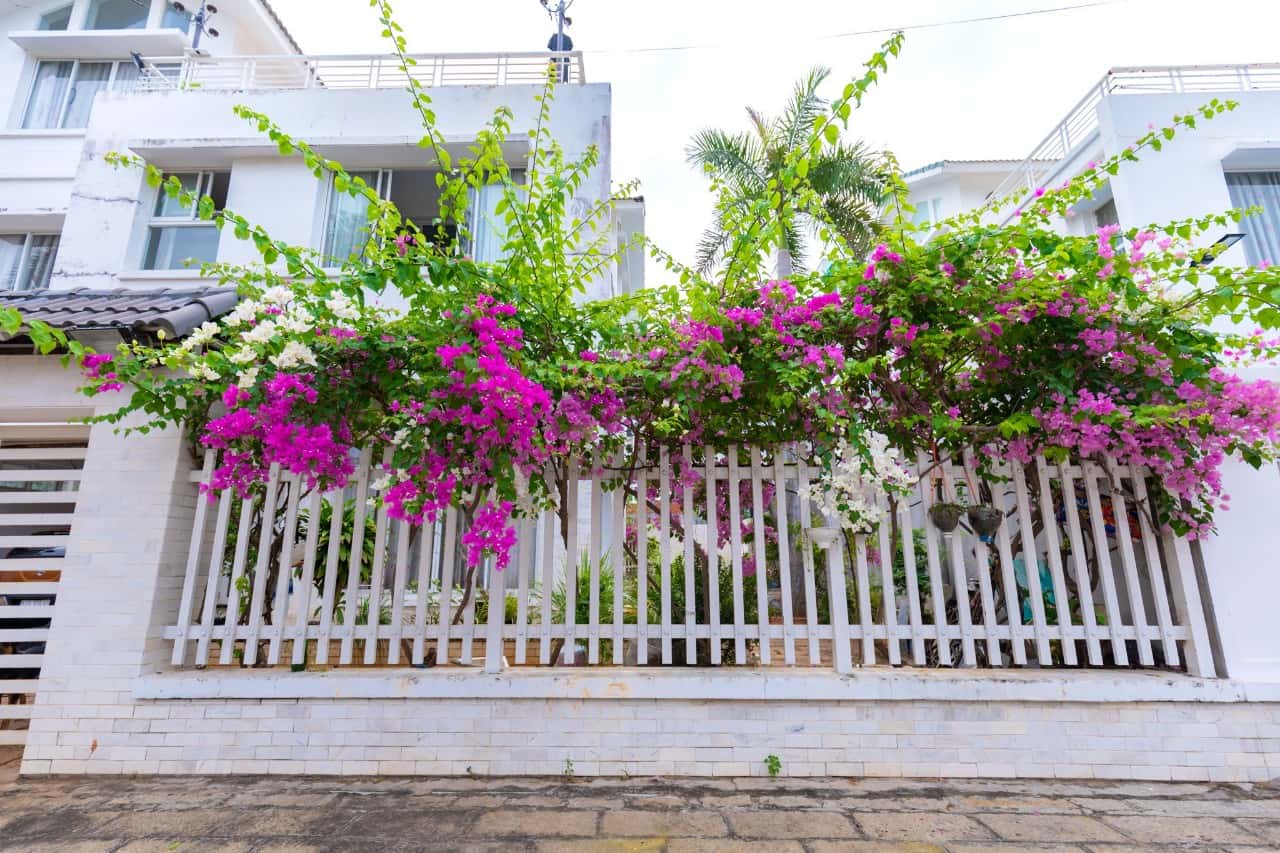 b2 18 thuy duong 4 vung tau