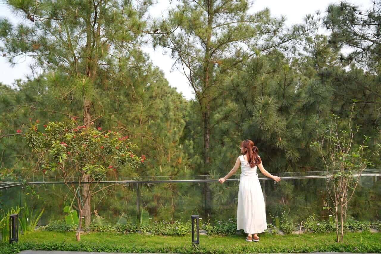 Sân thượng view rừng thông 