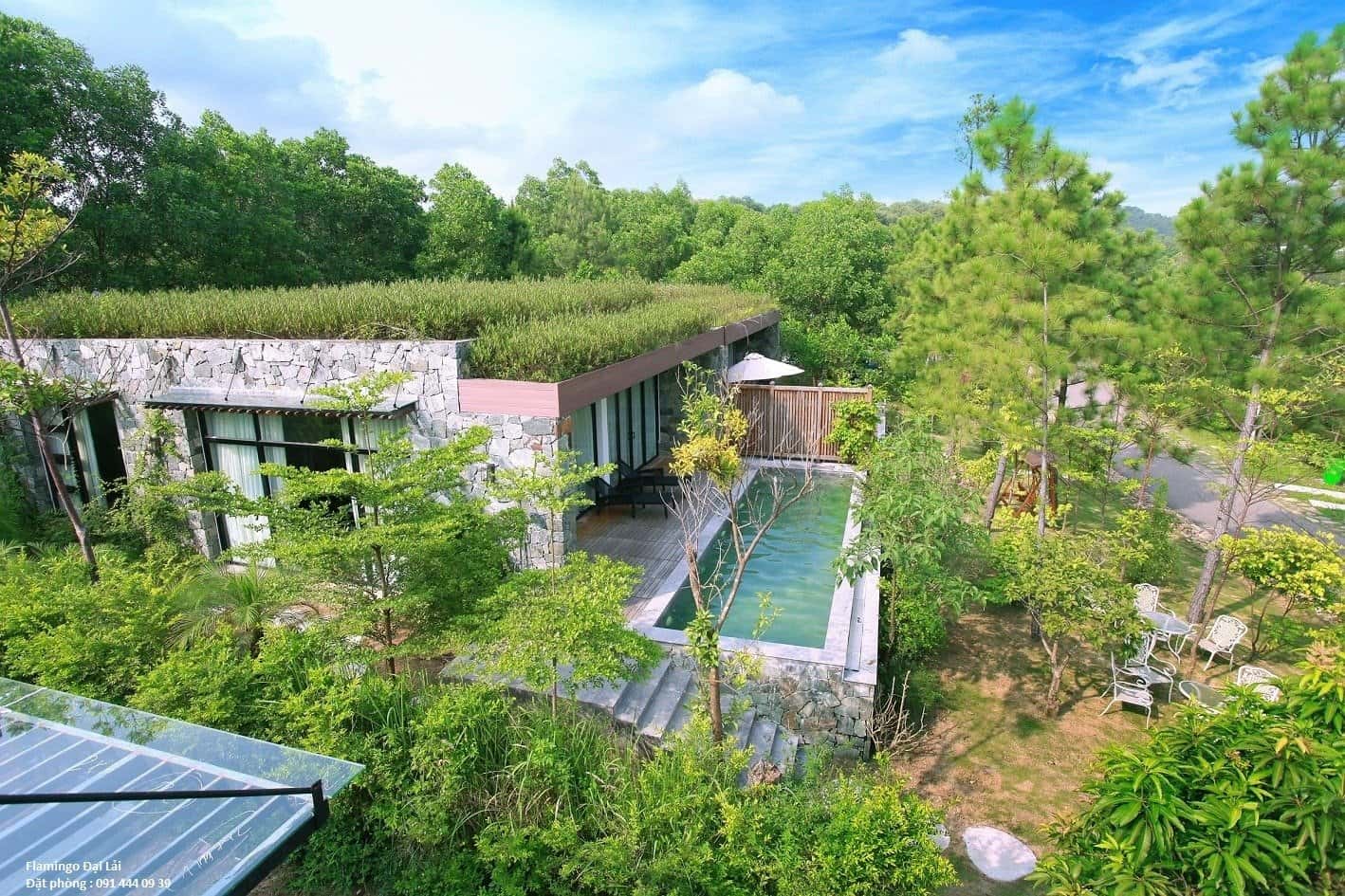 Spacious garden