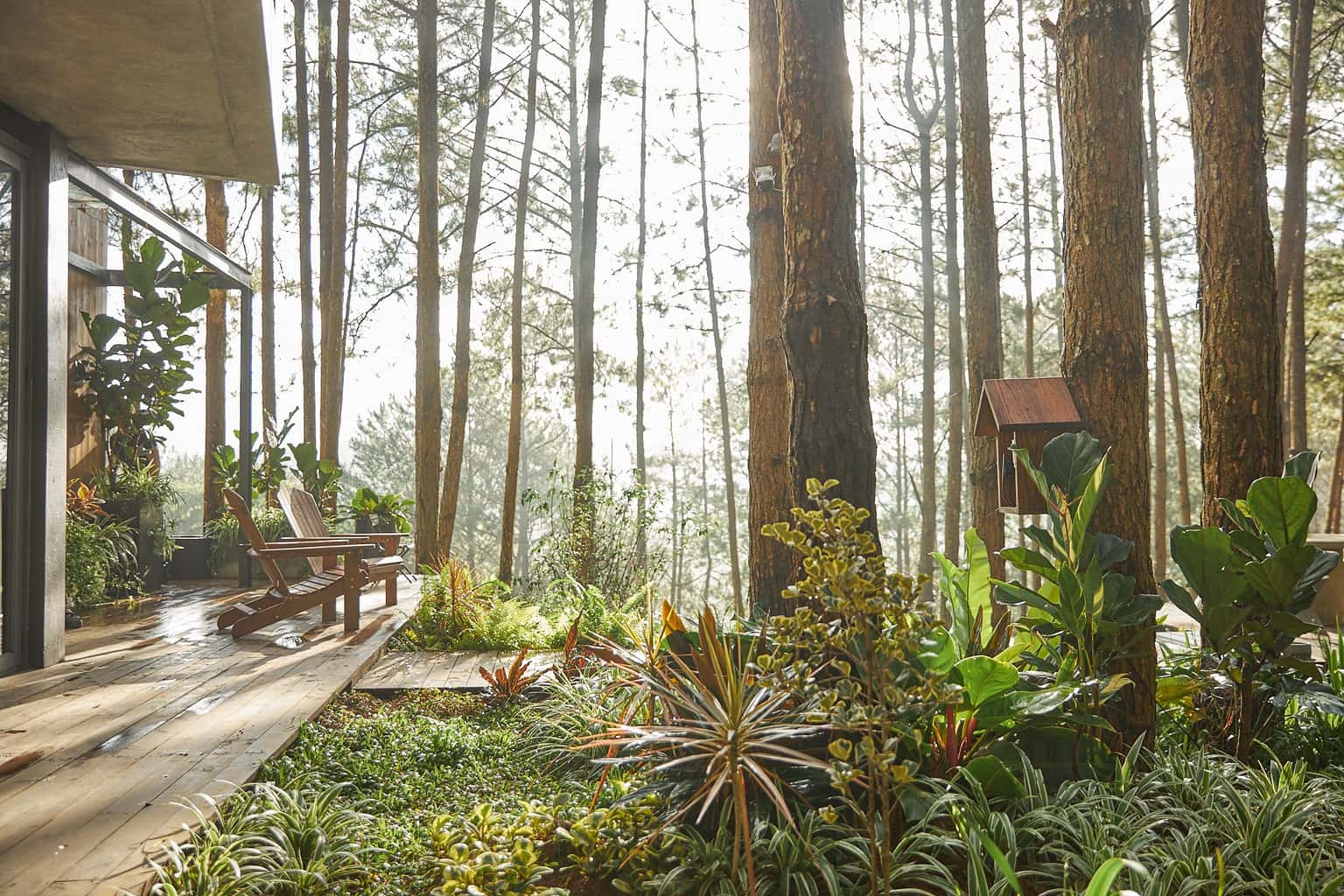 Dreamers Villa, Đà Lạt — photo 10