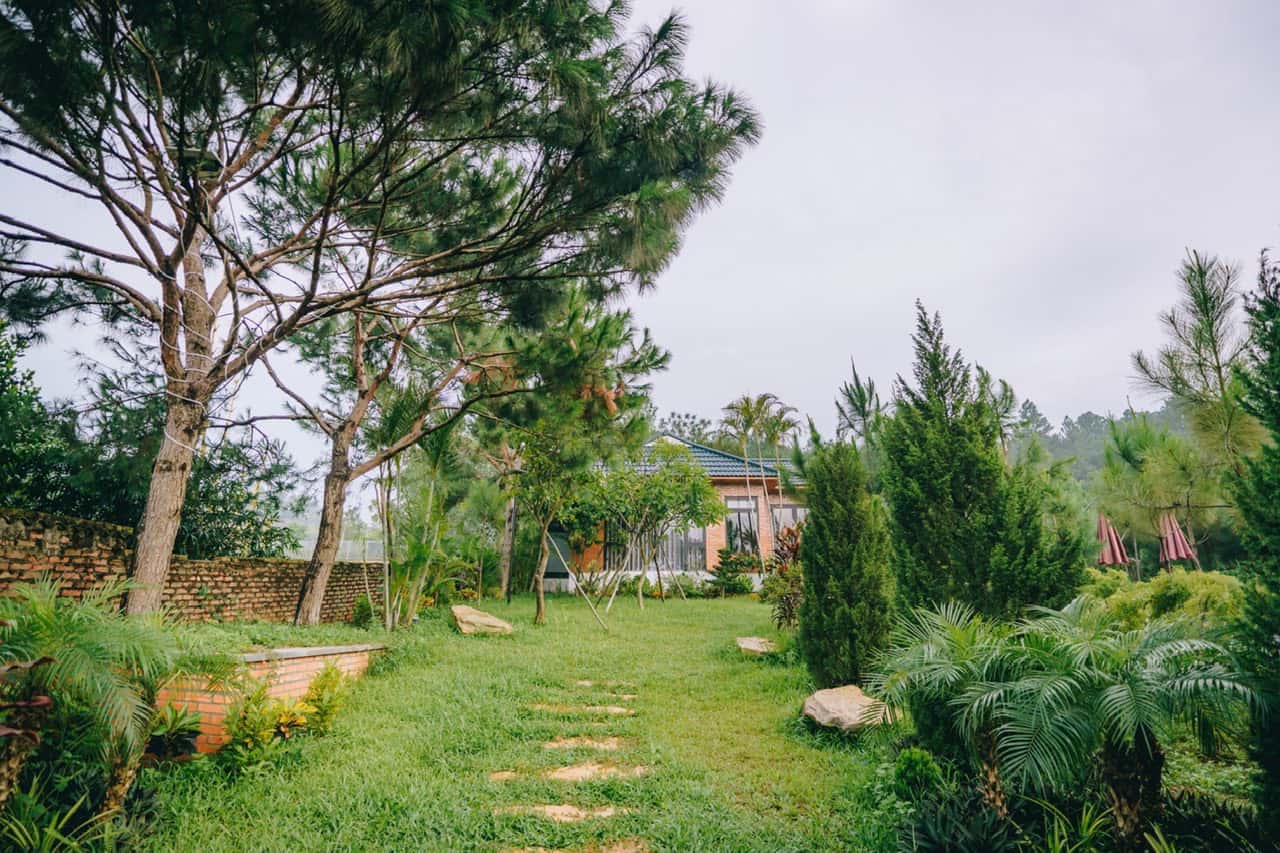 Spacious garden