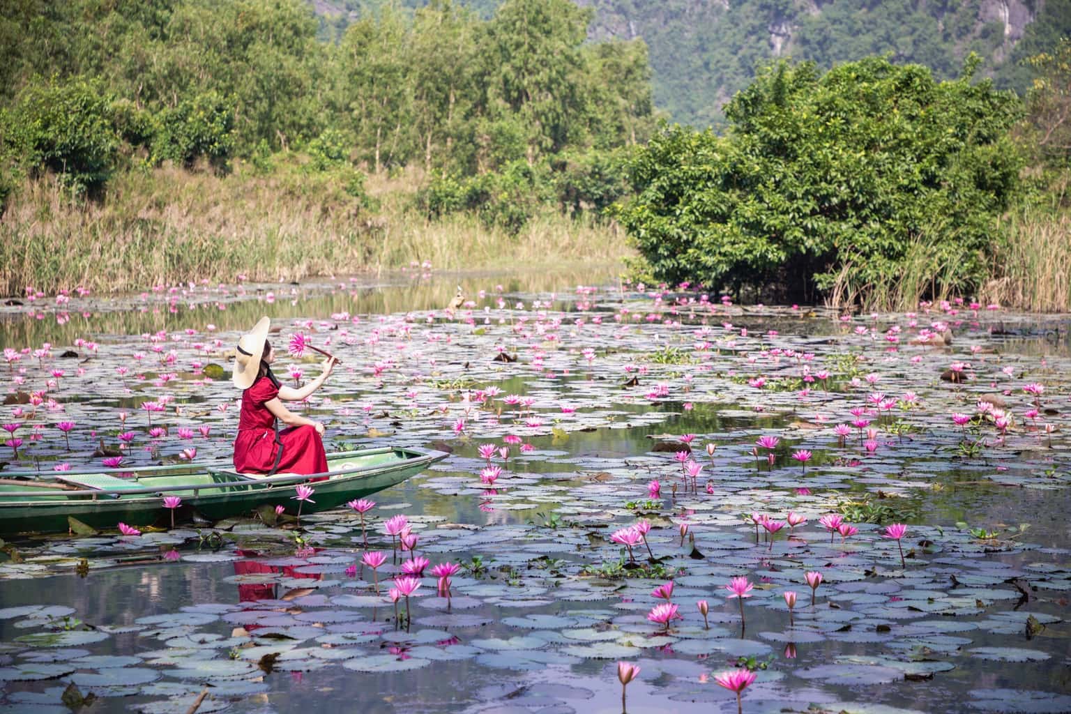 Thung Nắng, Ninh Bình — ảnh 18