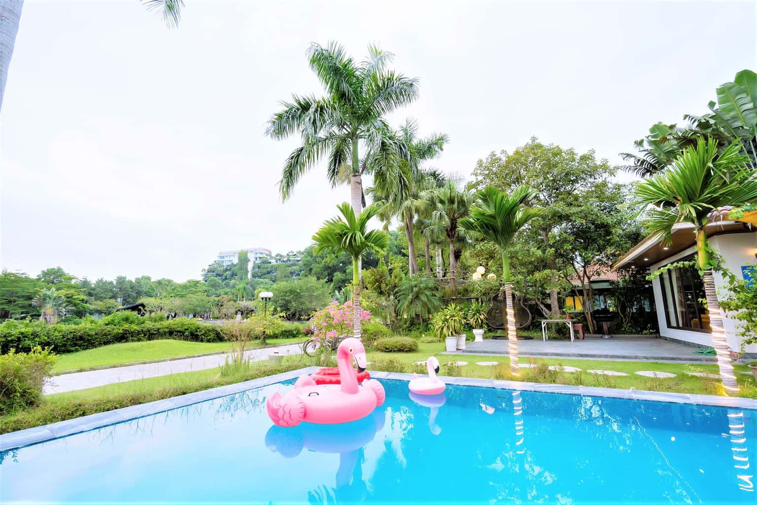 Swim floats
