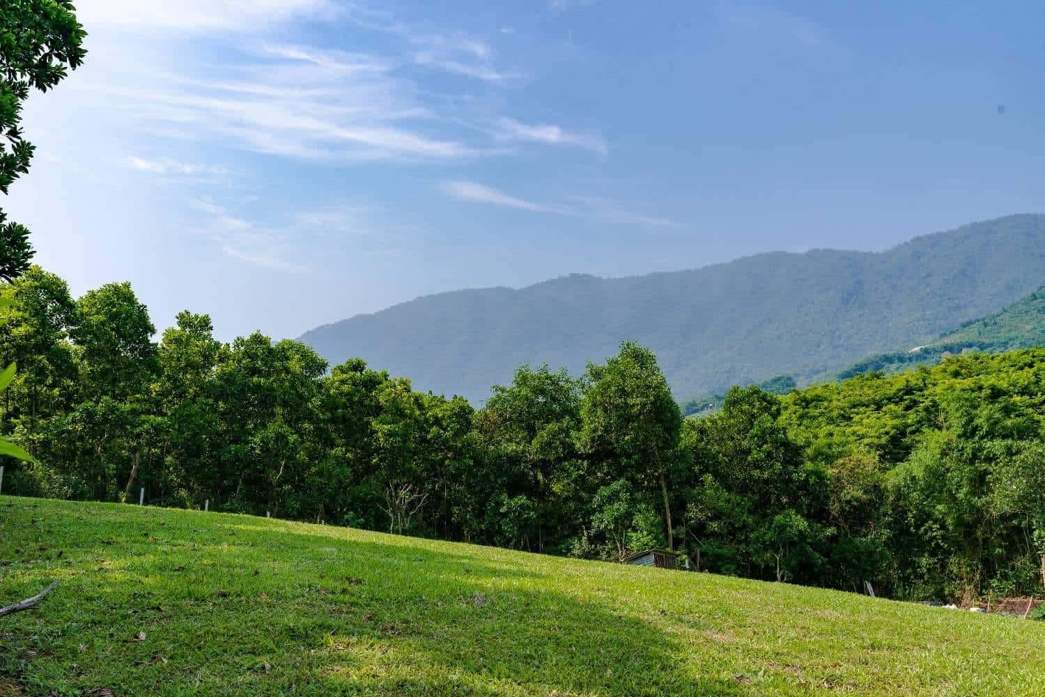 Forest Residence Villa (Quin Hill Retreat) in Hòa Lạc, Thạch Thất — photo 11
