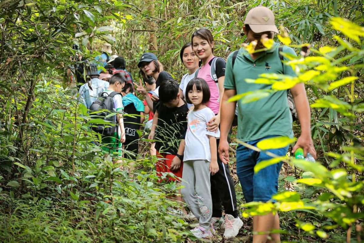 vuon quoc gia tam dao vinh phuc