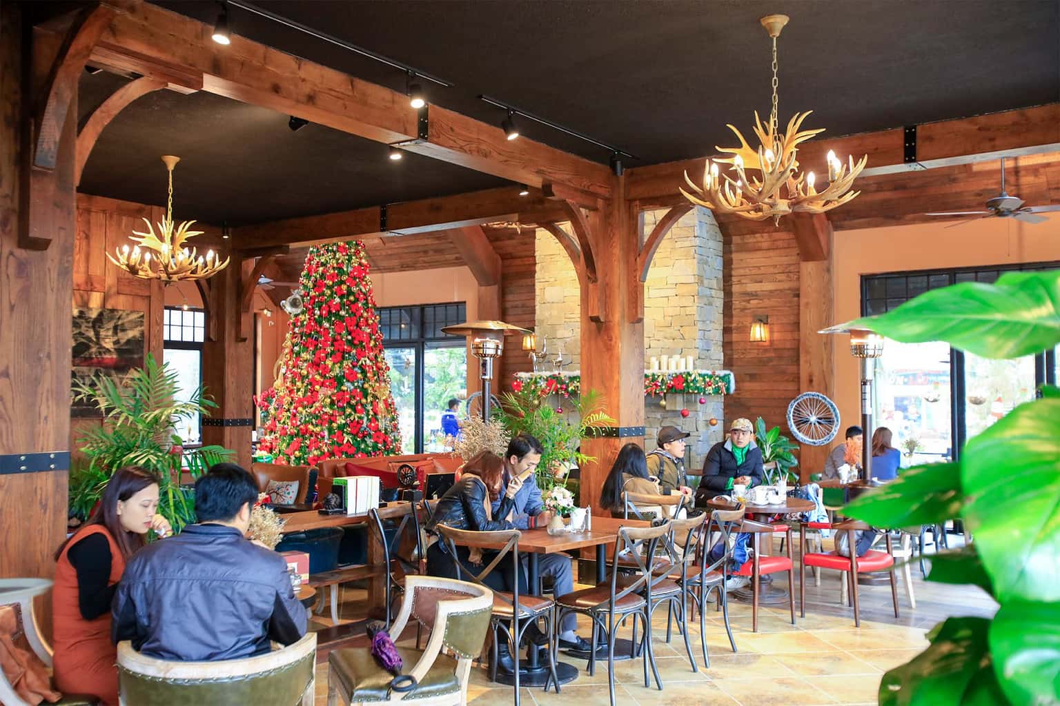 rock cafe tam dao vinh phuc