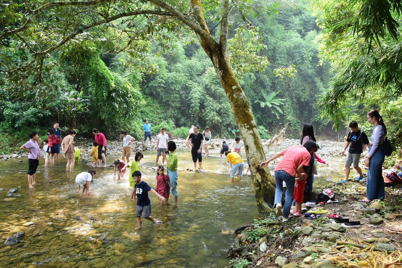 vuon quoc gia tam dao vinh phuc