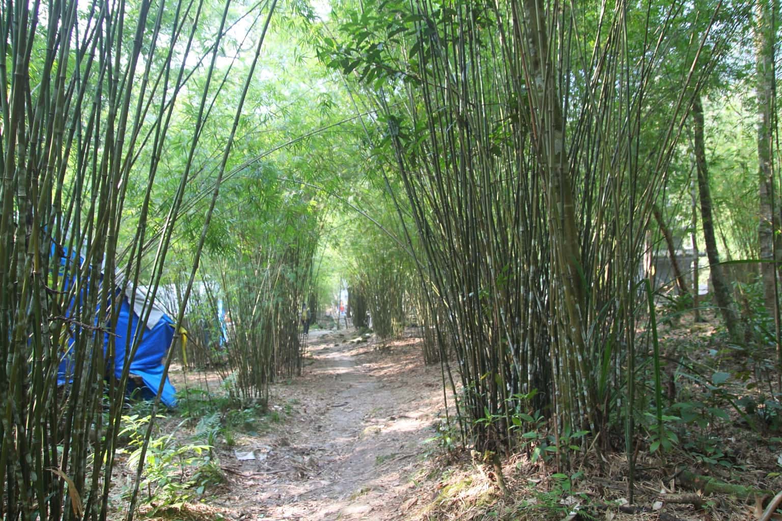 chua dia nguc tam dao vinh phuc