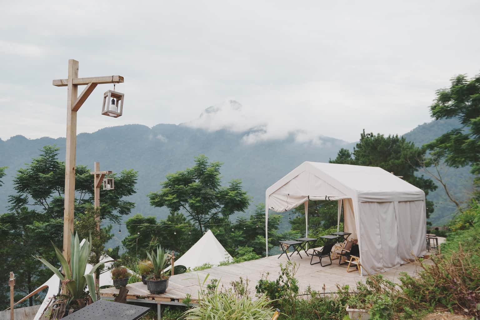 lala land tam dao vinh phuc
