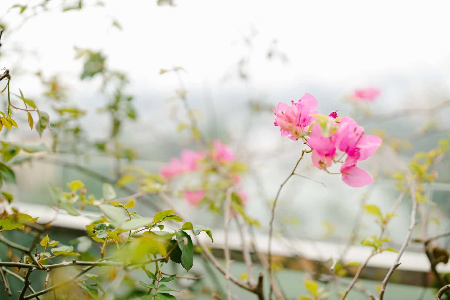 Sora Apartment - KatHome In Town (View Hồ), Tây Hồ — ảnh 20