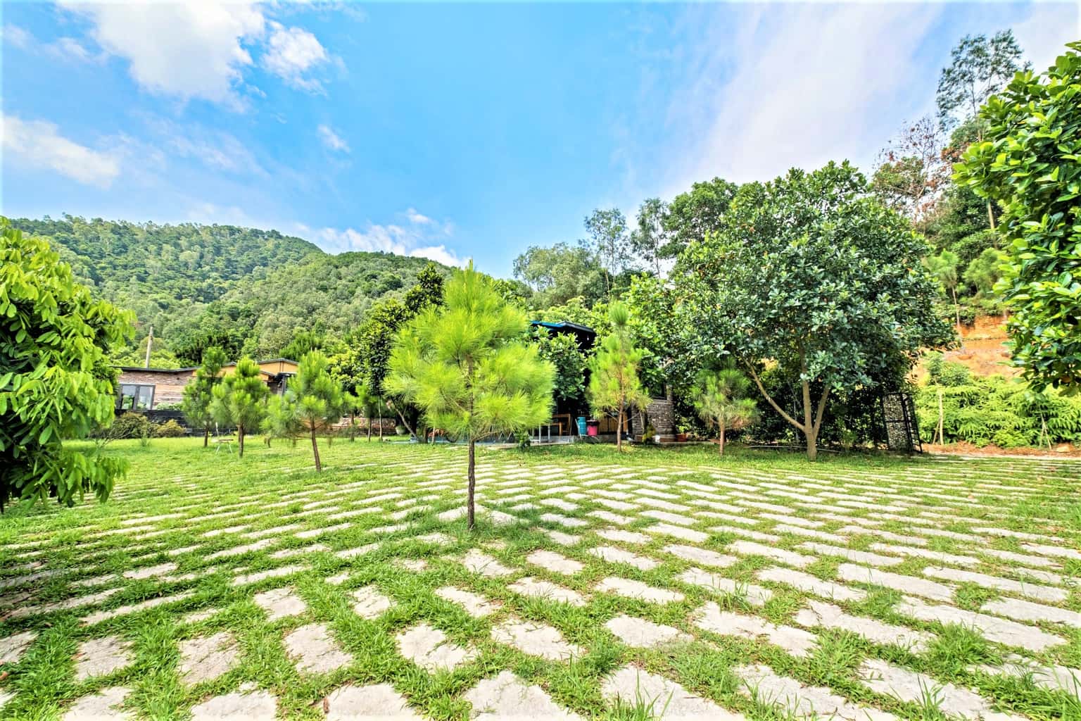 Pine Garden 2 tại Minh Phú, Sóc Sơn — ảnh 7