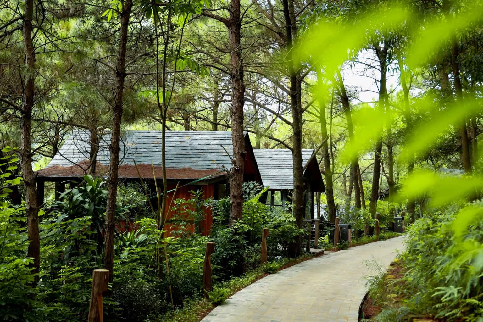 Room 03 (Amaya Retreat) at Lâm Trường, Sóc Sơn — photo 22
