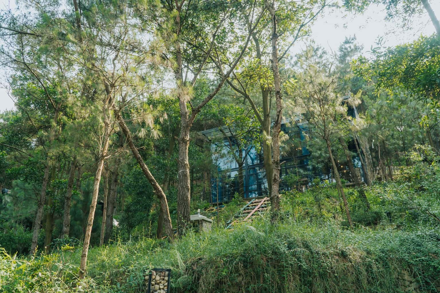 Nhà Kính (Choai Villa) tại Lâm Trường, Sóc Sơn — ảnh 6