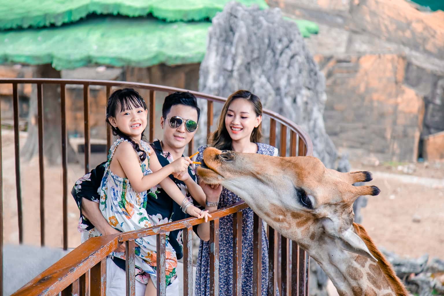 justfly cong vien thien duong bao son hanoi