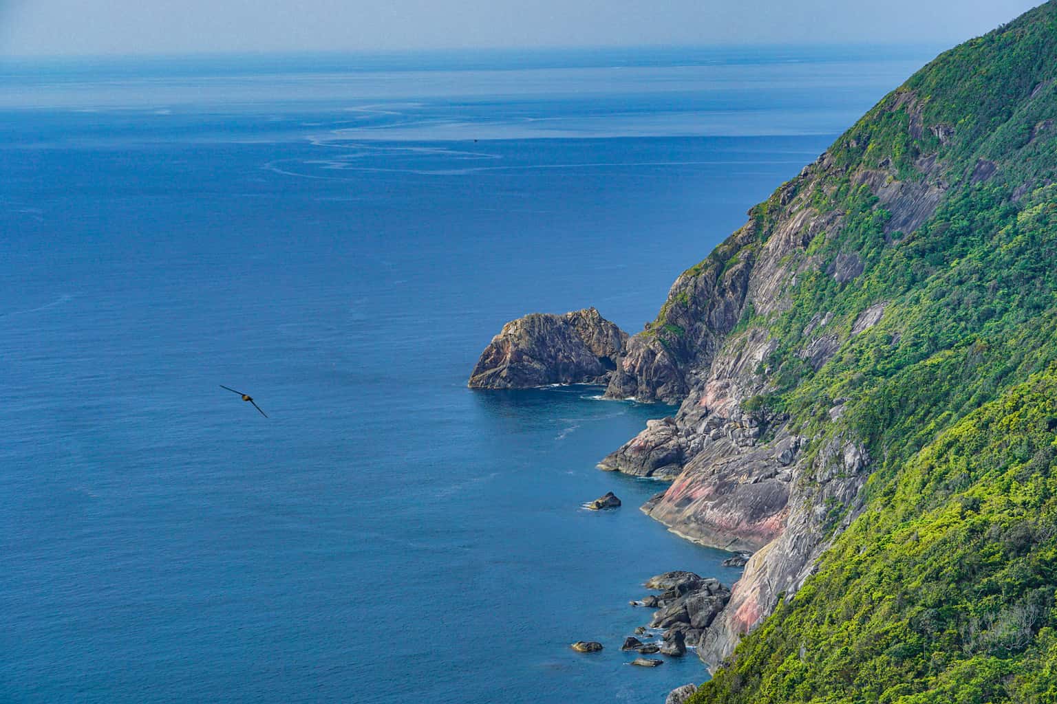 justfly cu lao cham da nang