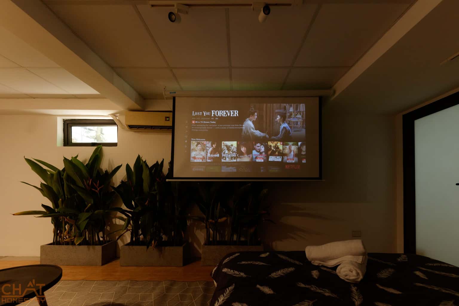 Projector