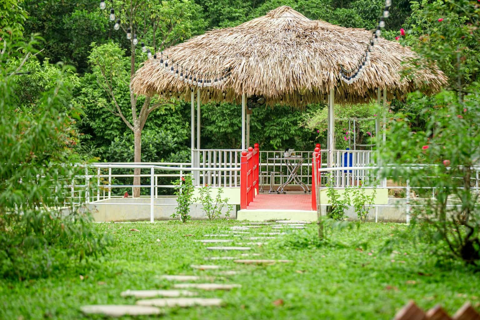 justfly diamond rose homestay ba vi