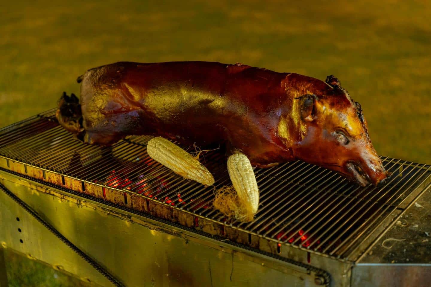 Bếp nướng BBQ