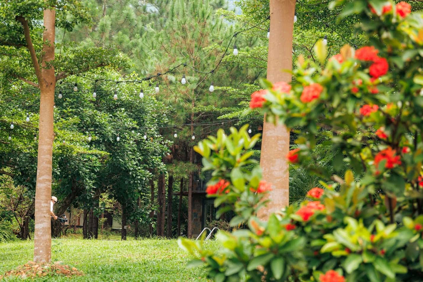 Lee Garden Villa tại Lâm Trường, Sóc Sơn — ảnh 15