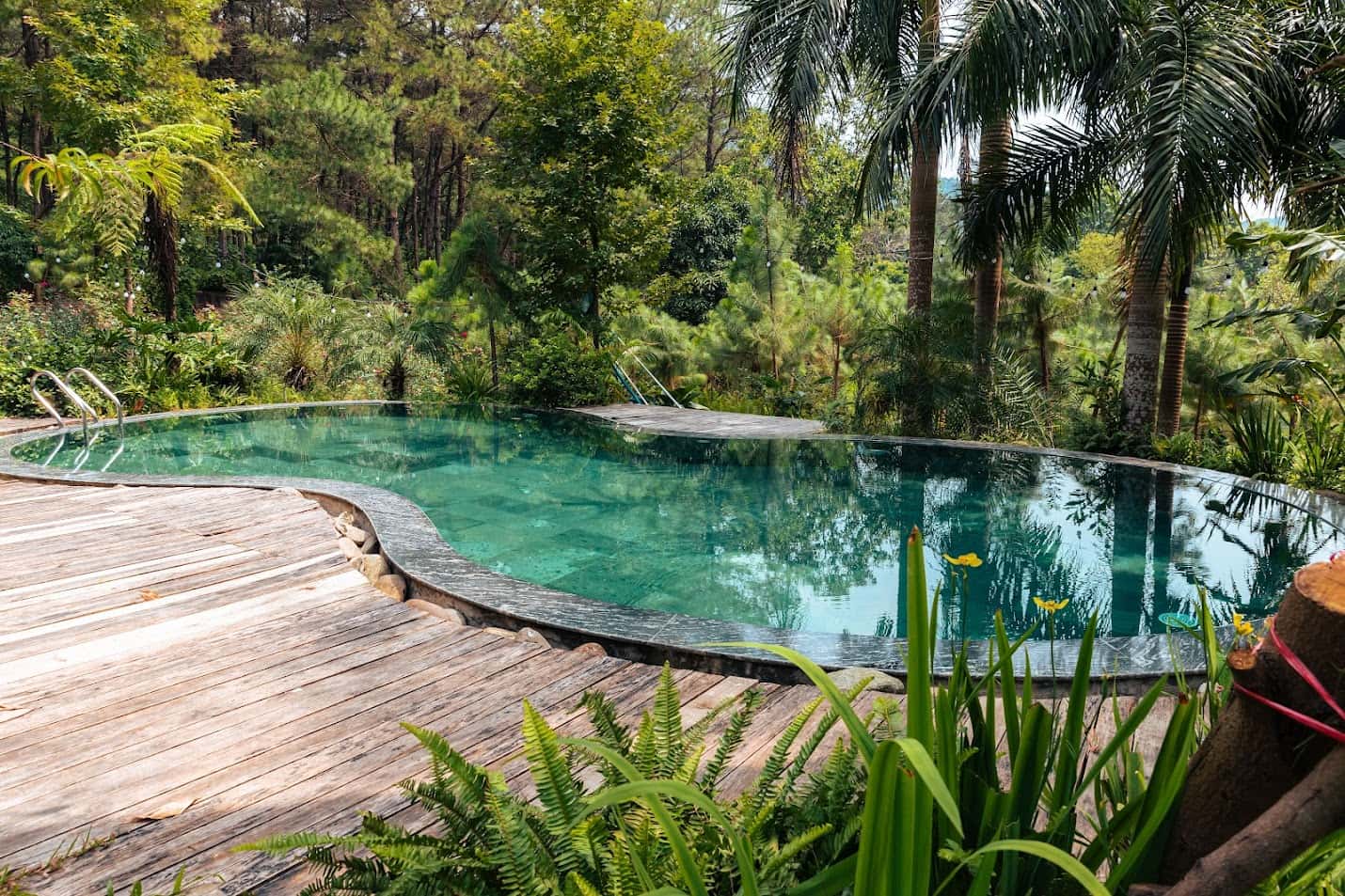 Sausau Garden (Lee Garden) in Lâm Trường, Sóc Sơn — photo 6