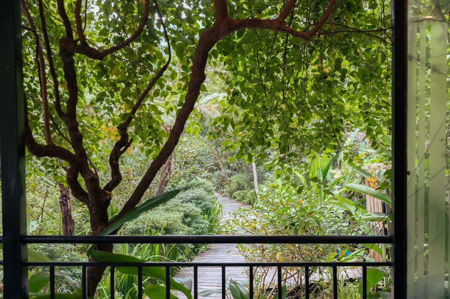 Sausau Garden (Lee Garden) in Lâm Trường, Sóc Sơn — photo 12