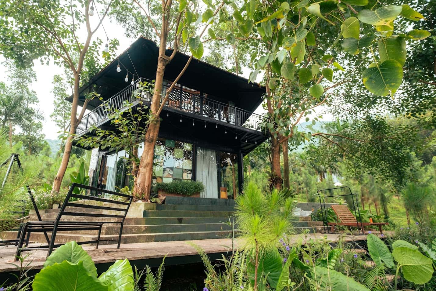 Fern Garden (Lee Garden) tại Lâm Trường, Sóc Sơn — ảnh 2