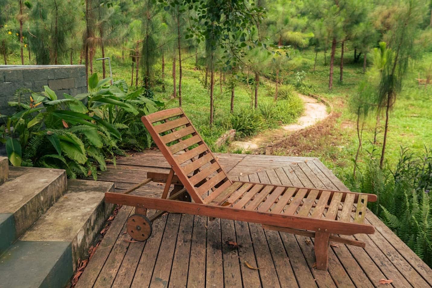 Fern Garden (Lee Garden) tại Lâm Trường, Sóc Sơn — ảnh 7