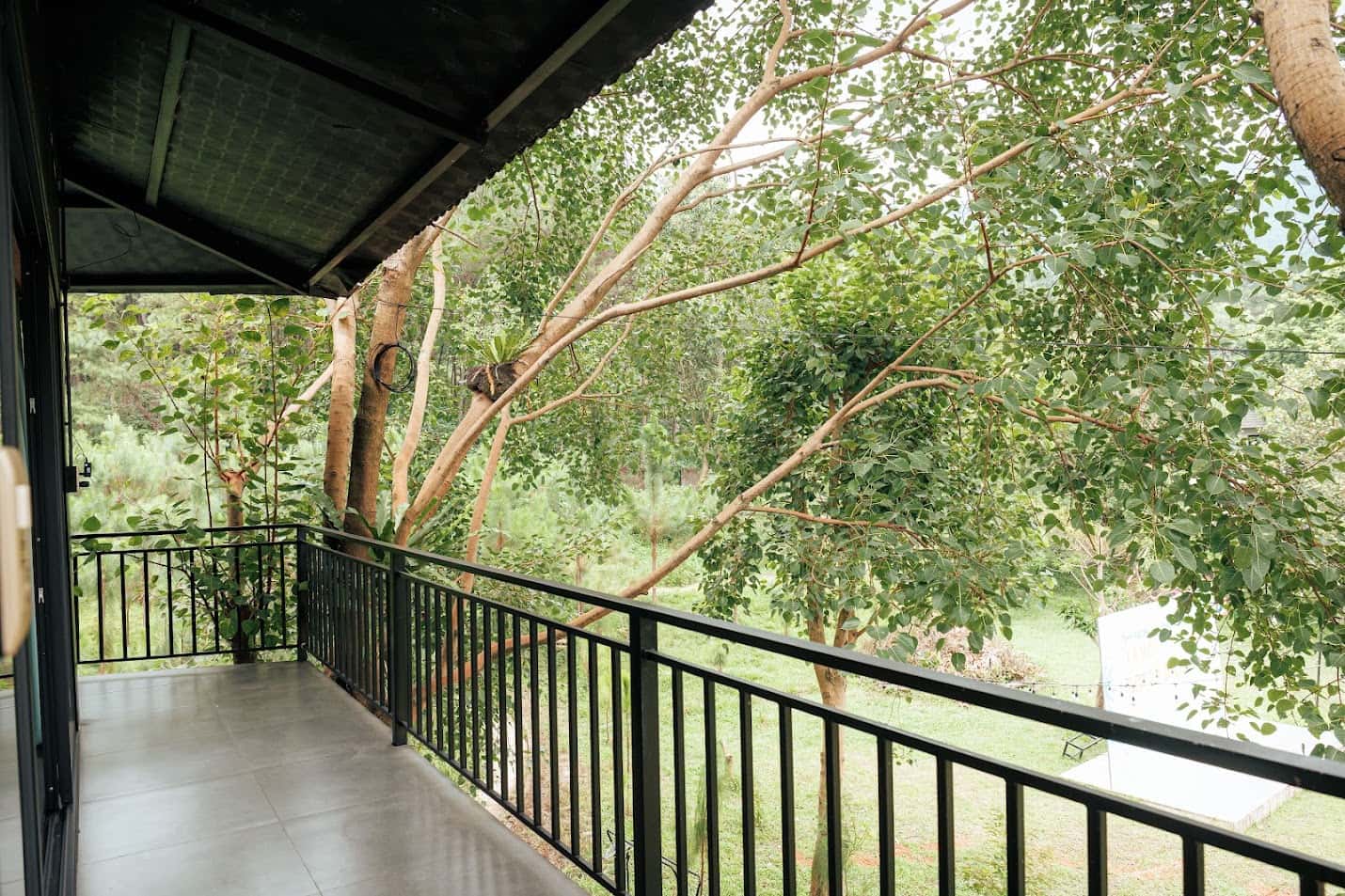 Fern Garden (Lee Garden) tại Lâm Trường, Sóc Sơn — ảnh 25