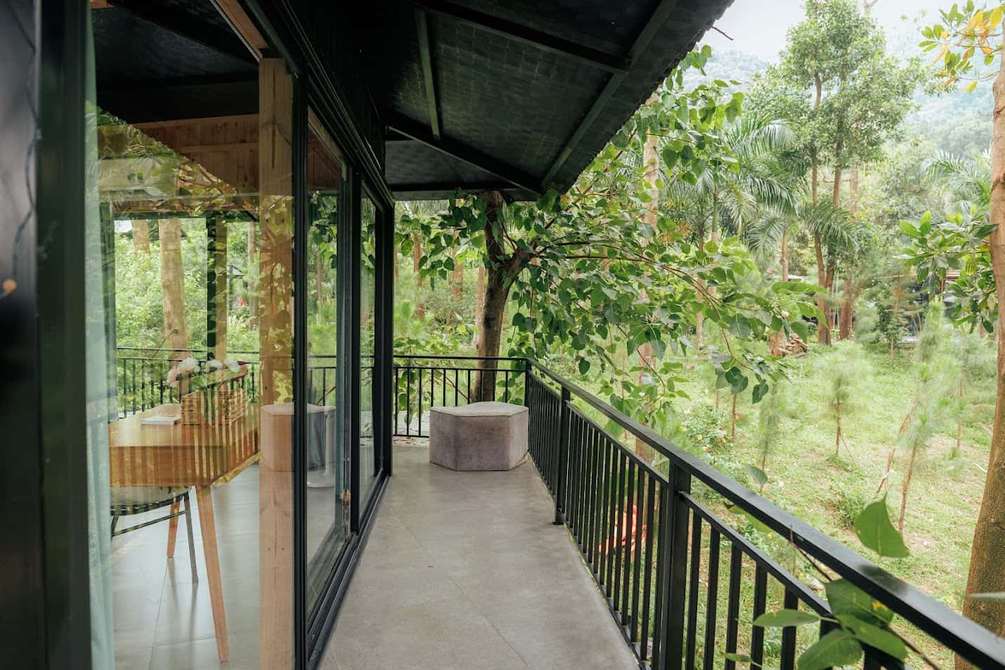 Fern Garden (Lee Garden) tại Lâm Trường, Sóc Sơn — ảnh 24