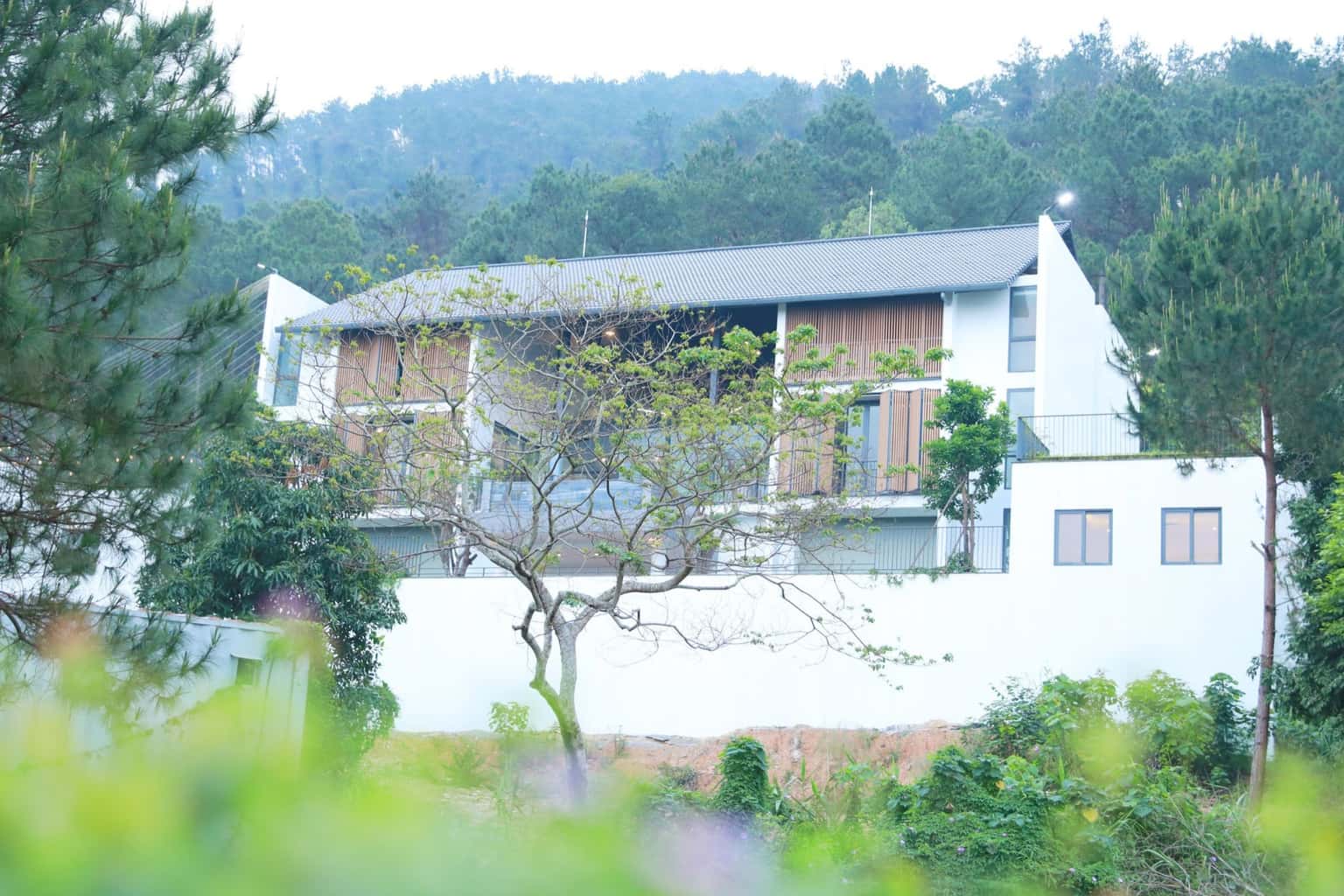 Villa D44 at Tam Đảo Golf Course, Vĩnh Phúc — photo 21