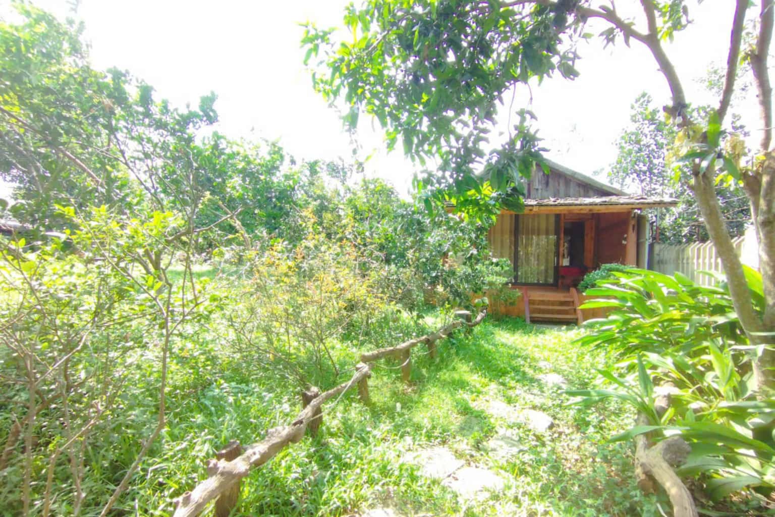 Nhà của Nội (Jacaranda Valley Ecofarm) at Yên Bài, Ba Vì — photo 10