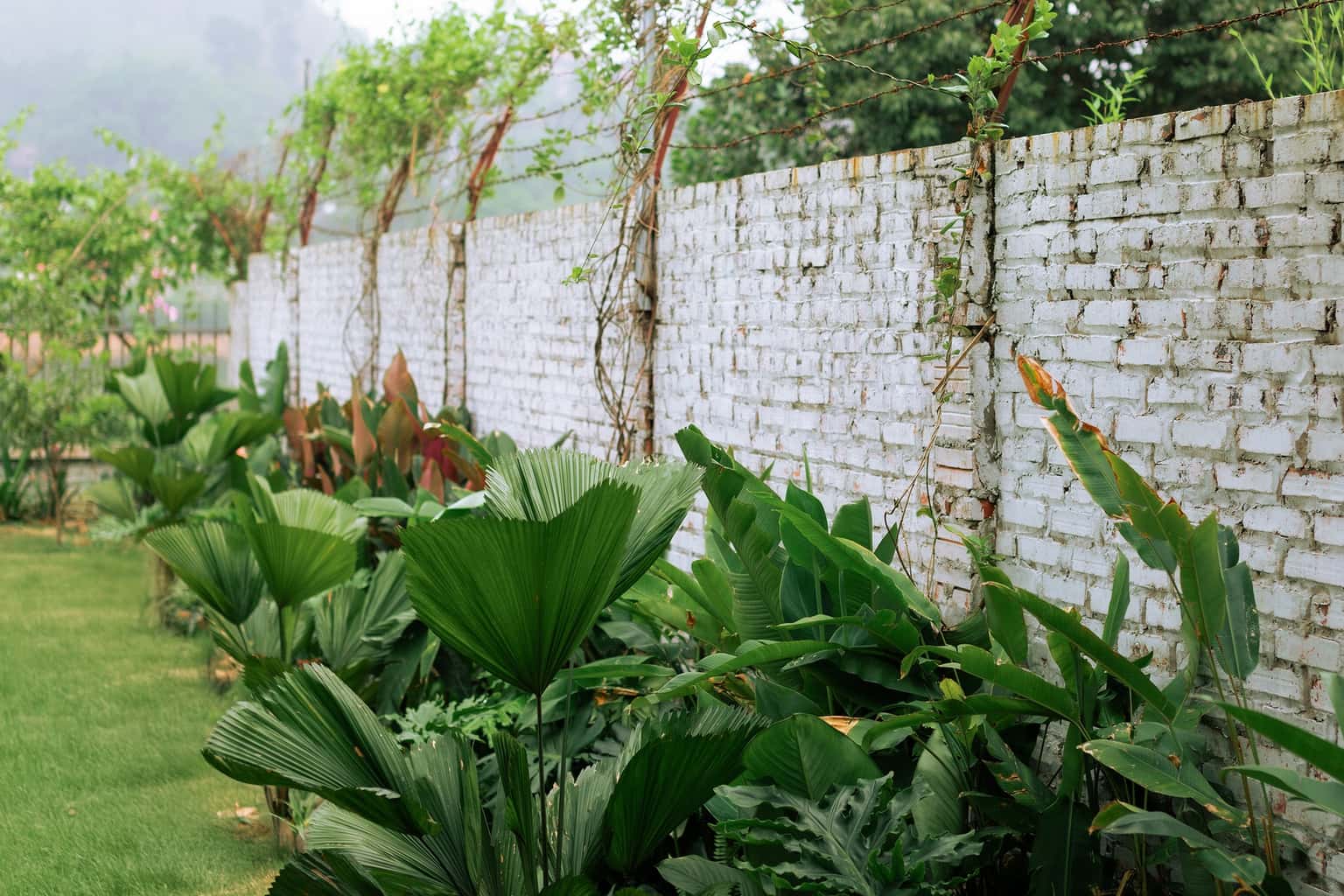 位于Yên Bài、Ba Vì的Ole Homestay — 照片 11