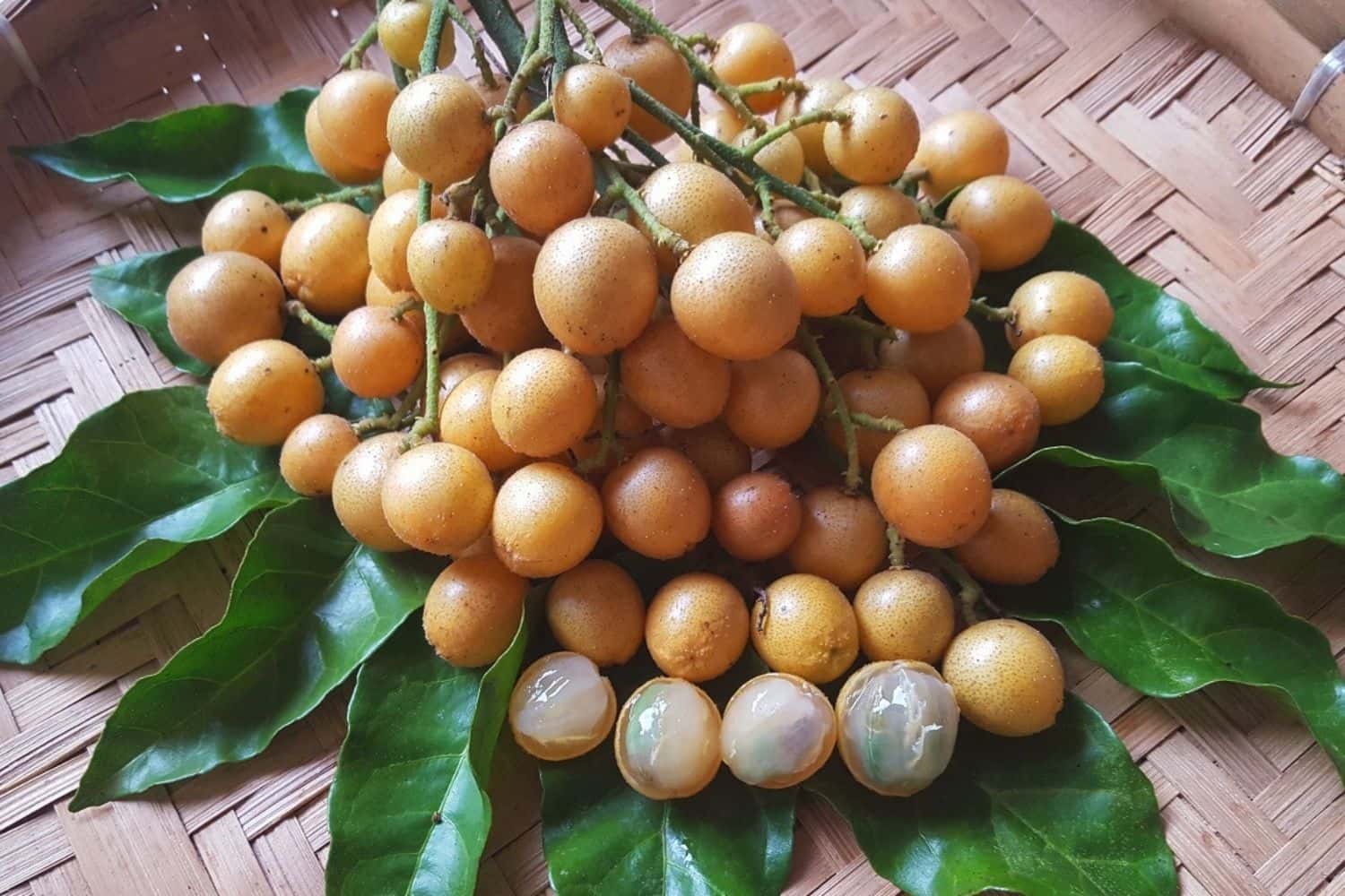 Rếch 2 (Ké Retreat) tại Đà Bắc, Hòa Bình — ảnh 38