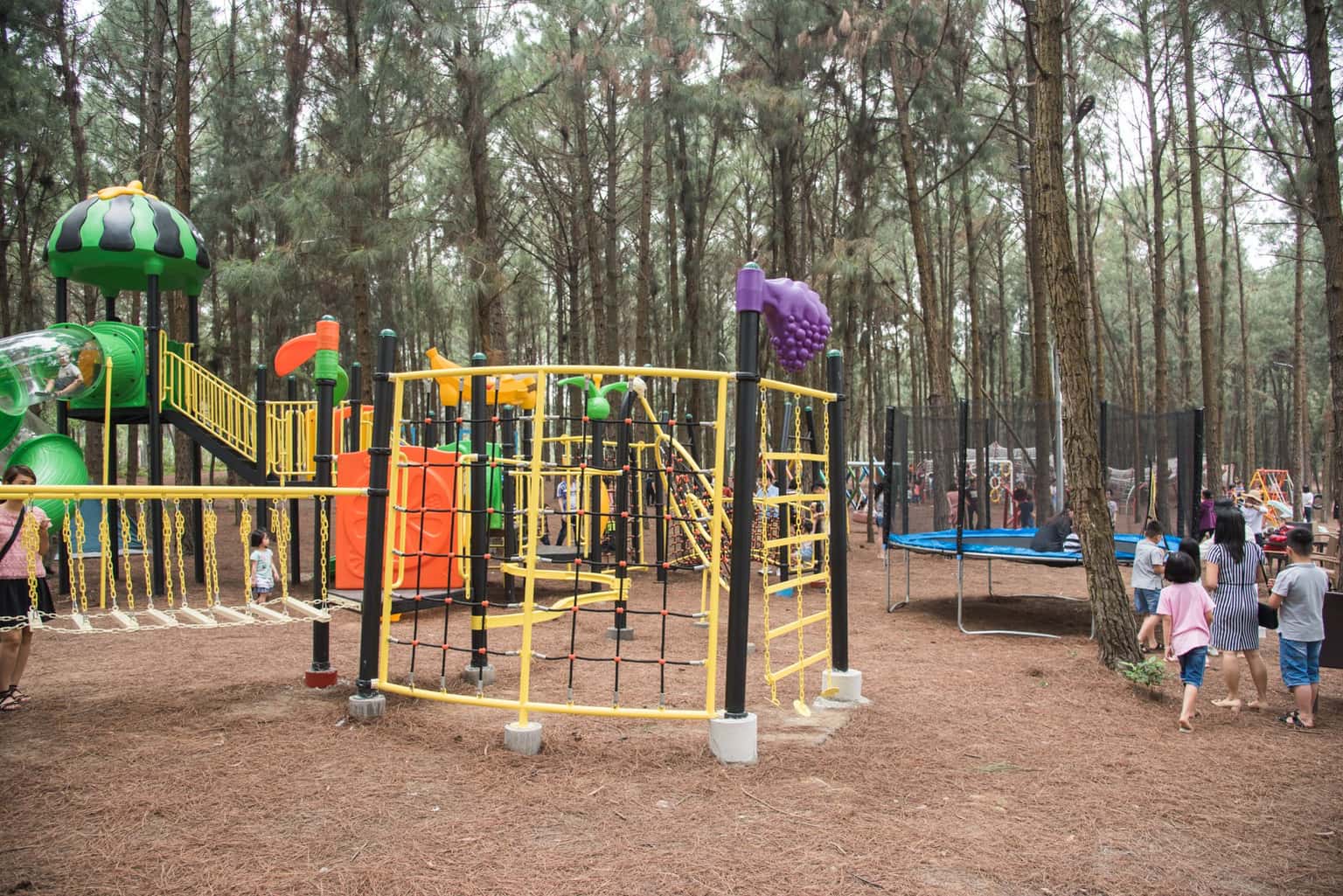cong vien wonder park flamingo dai lai resort 