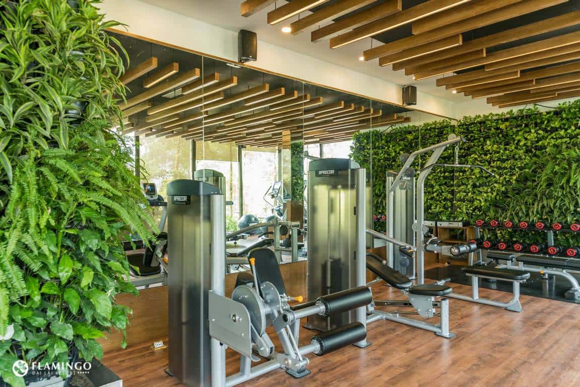 gym and fitness flamingo dai lai resort 