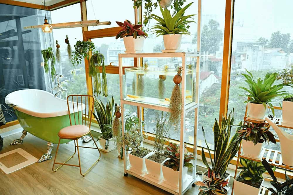 Bohemian, Hoàn Kiếm — photo 7