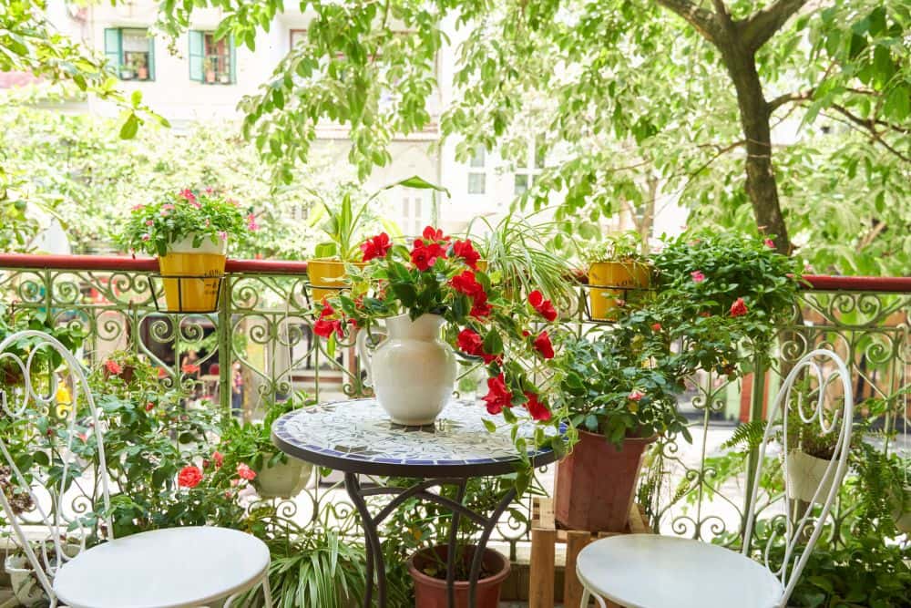 Le Bon Apartment - Langmandi Homestay，Hoàn Kiếm — 照片 5