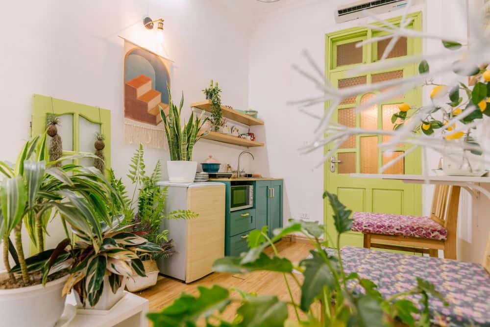 Avocado - Ngõ 63 Quang Trung, Hai Bà Trưng — photo 4