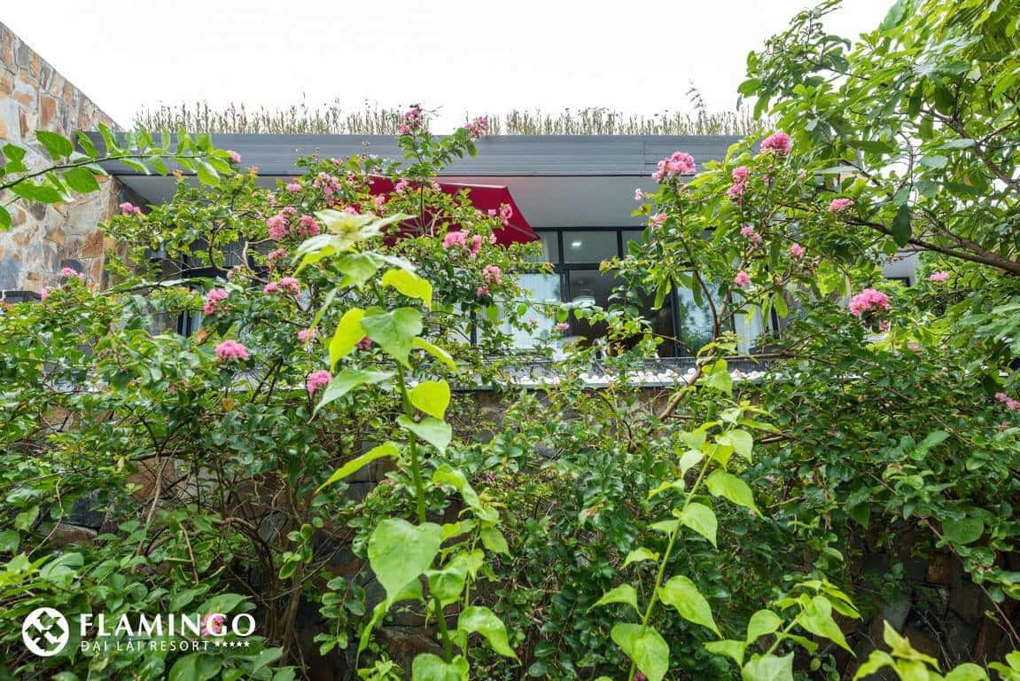 justfly-c17-villa-flamingo-dai-lai-vinh-phuc