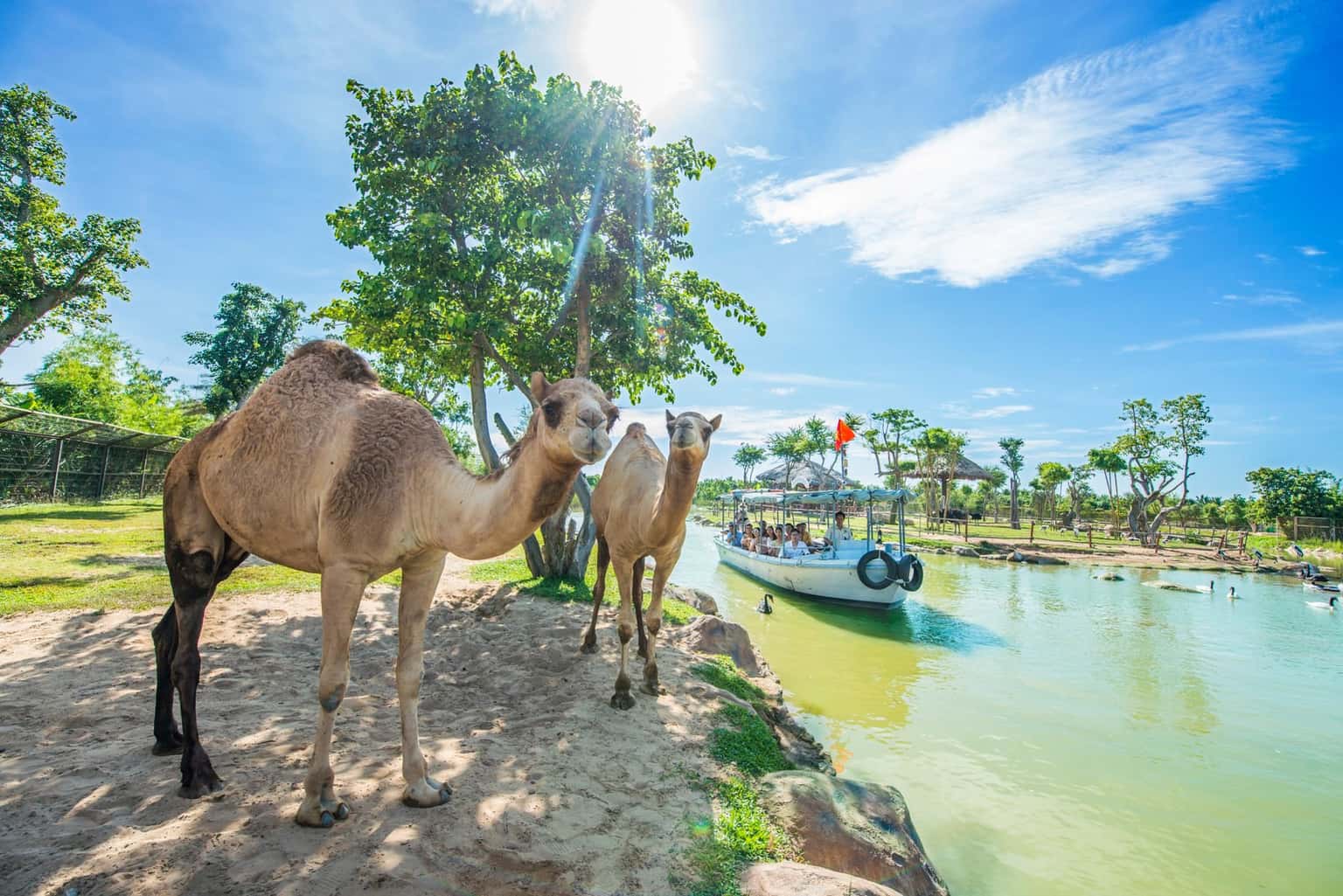 justfly vinwonders nam hoi an