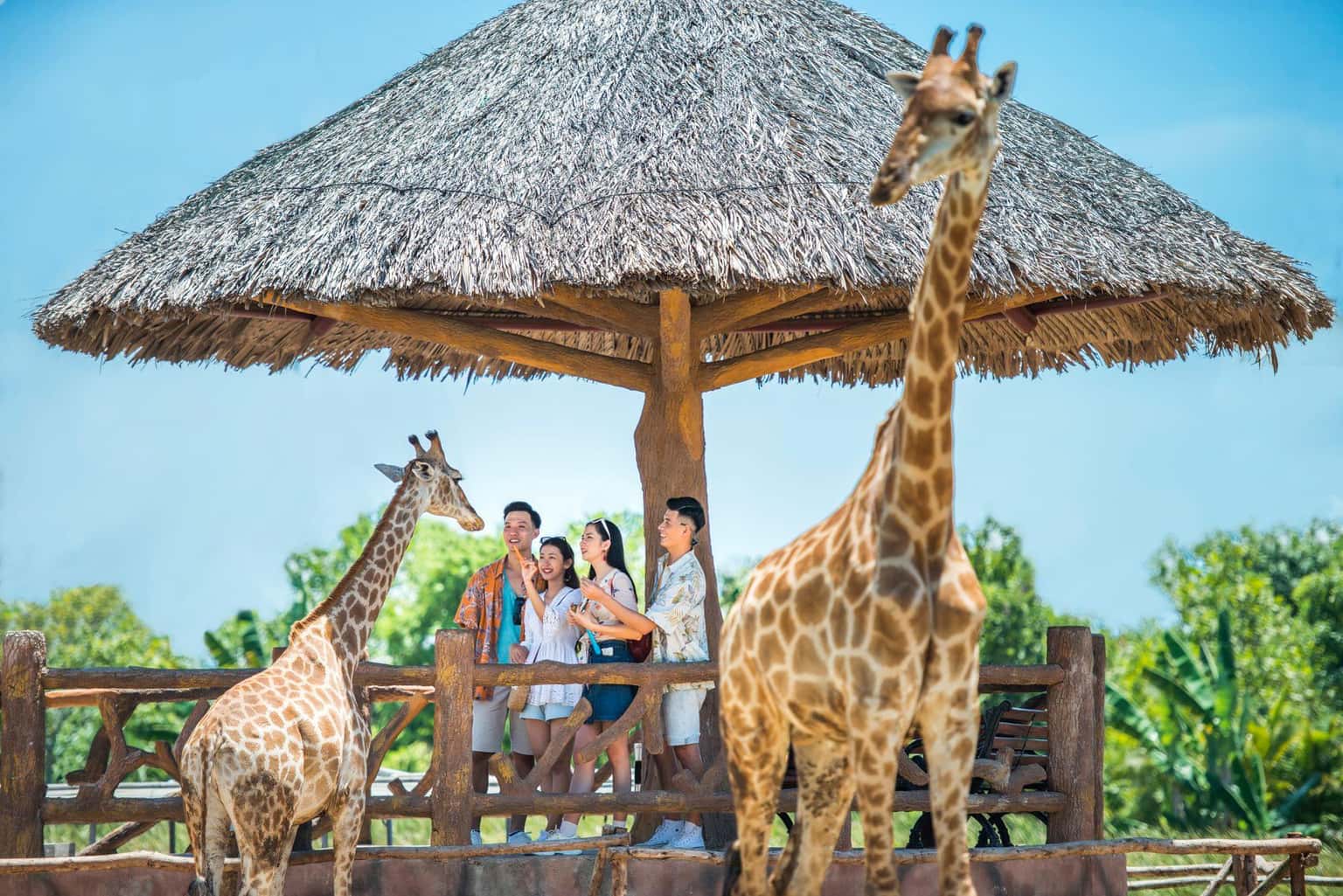 justfly vinwonders nam hoi an