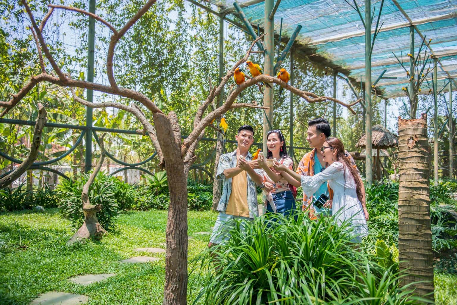 justfly vinwonders nam hoi an