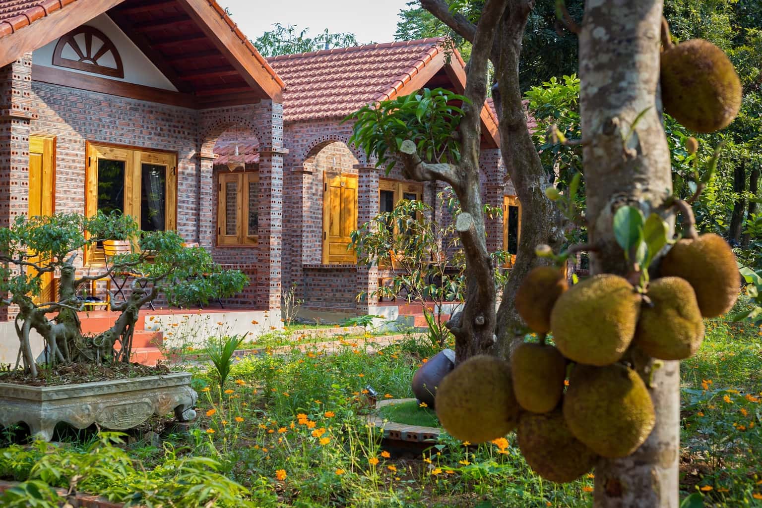 Ninh Binh Family Homestay - Double (Chung vệ sinh), Ninh Bình — ảnh 10